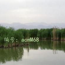 ļ